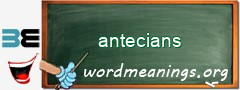 WordMeaning blackboard for antecians